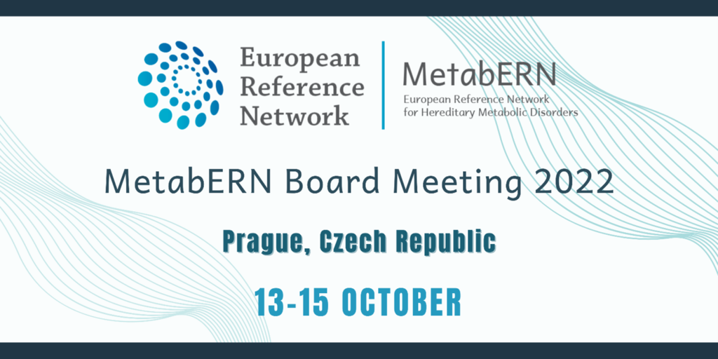 MetabERN Board meeting in Prague, 13-15 October 2022