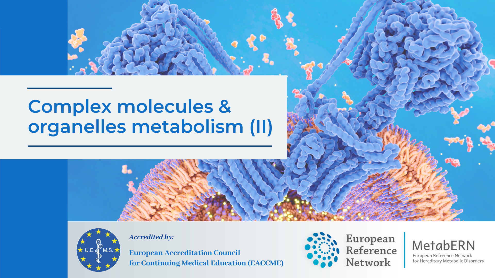 Module 10: Complex molecules & organelles metabolism (II)