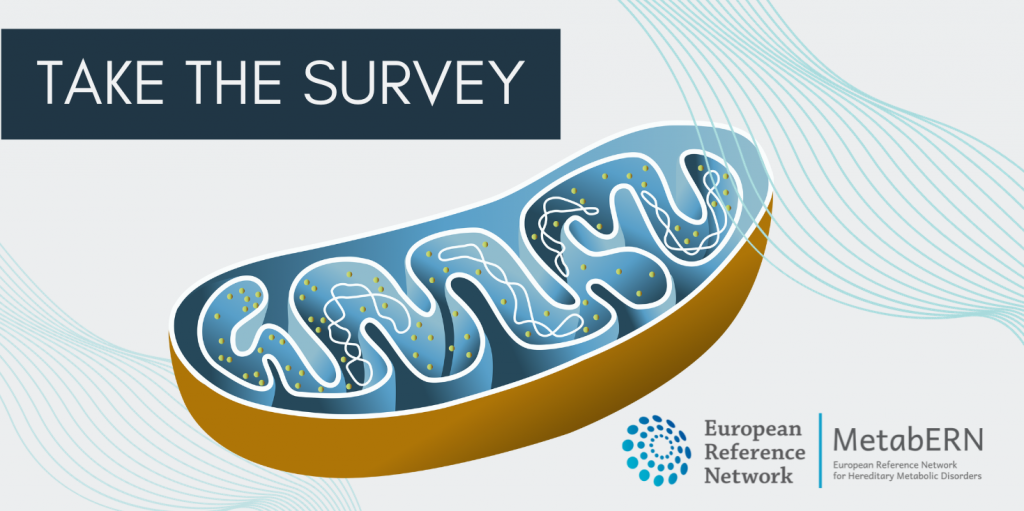 Questionnaire on the Treatment of Primary Mitochondrial Disorders with Vitamins and Cofactors