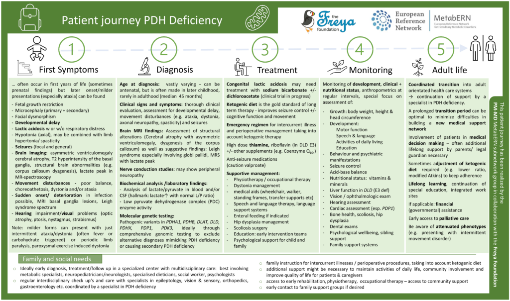 PDH PatientJourney en1 1024x605 1